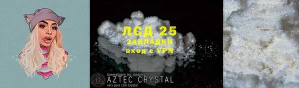 дживик Верхний Тагил