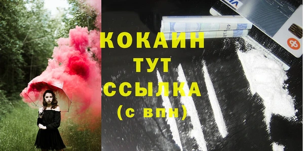 дживик Верхний Тагил
