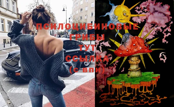 соль ск Волоколамск