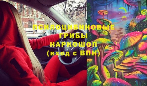 эйфоретик Богородицк