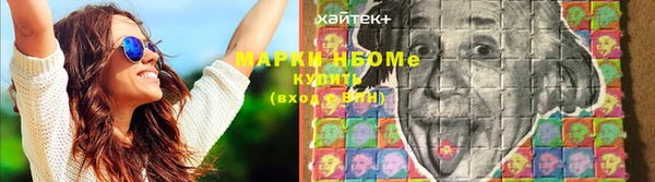 дживик Верхний Тагил
