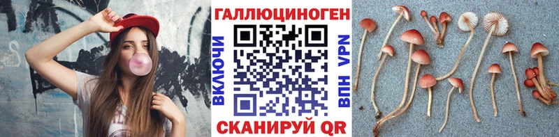 Псилоцибиновые грибы Cubensis  Заречный 