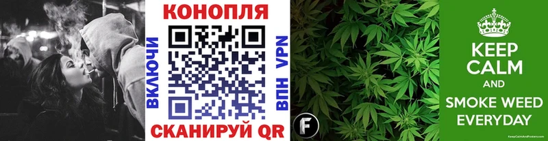 гидра ТОР  продажа наркотиков  Заречный  Бошки Шишки SATIVA & INDICA 